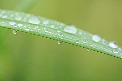 《塞伯利亚之谜：复刻版》新预告 游戏画面效果升级